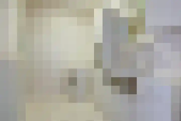 Apollostraat 39 Strijen thumbnail 24