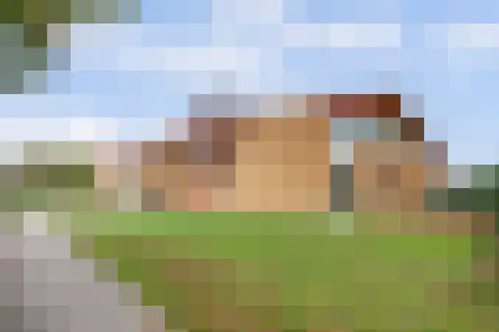 Apollostraat 39 Strijen thumbnail 28