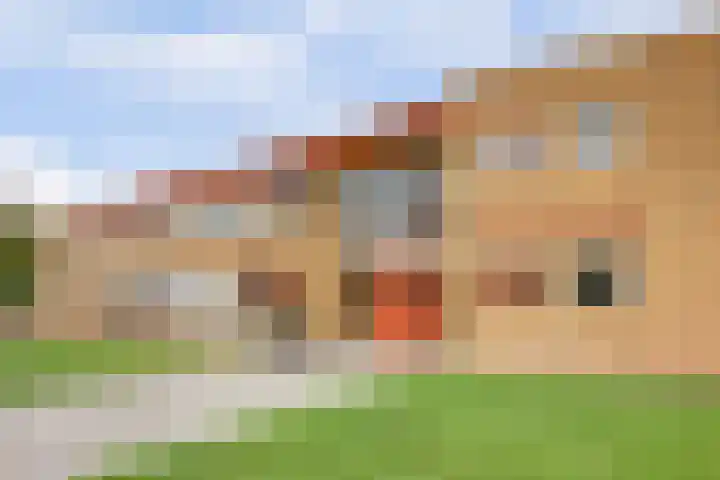 Apollostraat 39 Strijen thumbnail 4