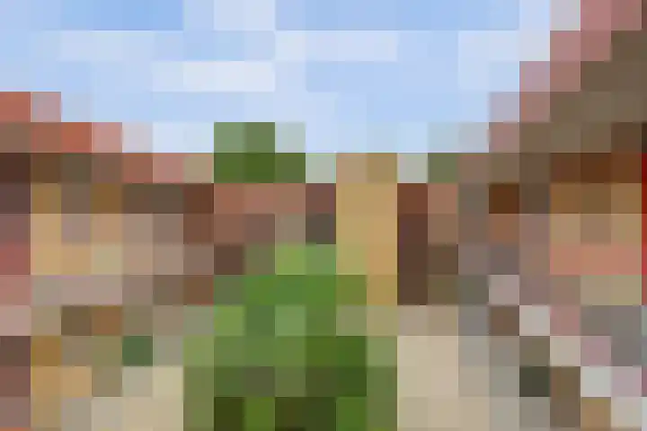 Apollostraat 39 Strijen thumbnail 6