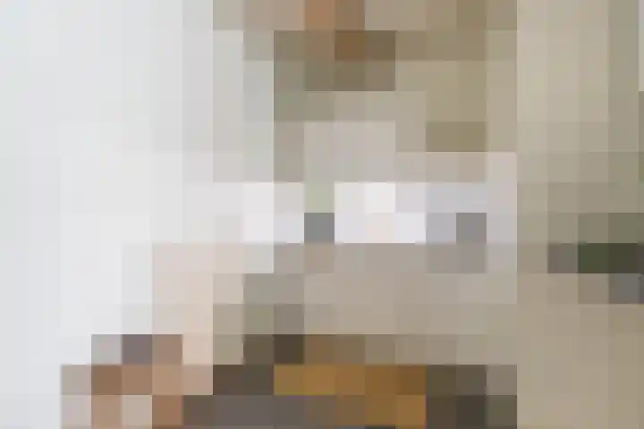 Apoortenmolendrift 2 Groningen thumbnail 12