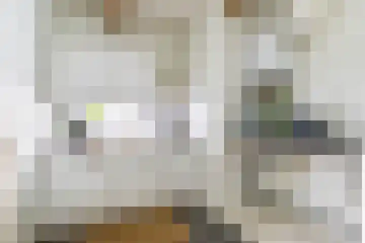 Apoortenmolendrift 2 Groningen thumbnail 13