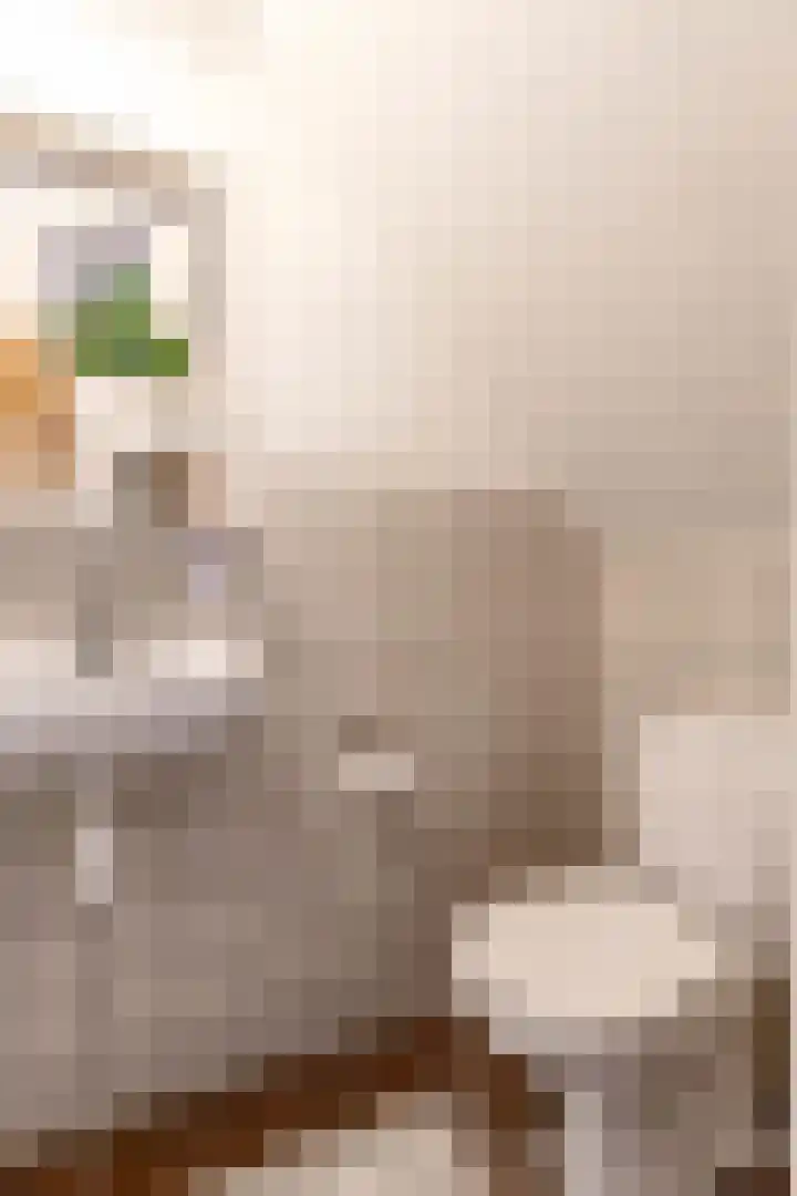Apoortenmolendrift 2 Groningen thumbnail 18