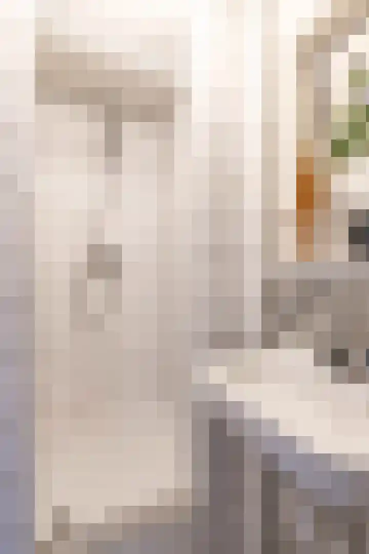 Apoortenmolendrift 2 Groningen thumbnail 19
