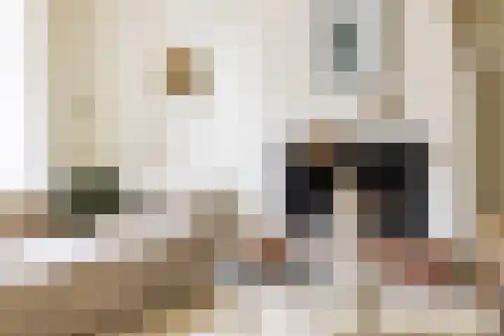 Apoortenmolendrift 2 Groningen thumbnail 23