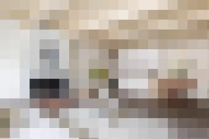 Apoortenmolendrift 2 Groningen thumbnail 26