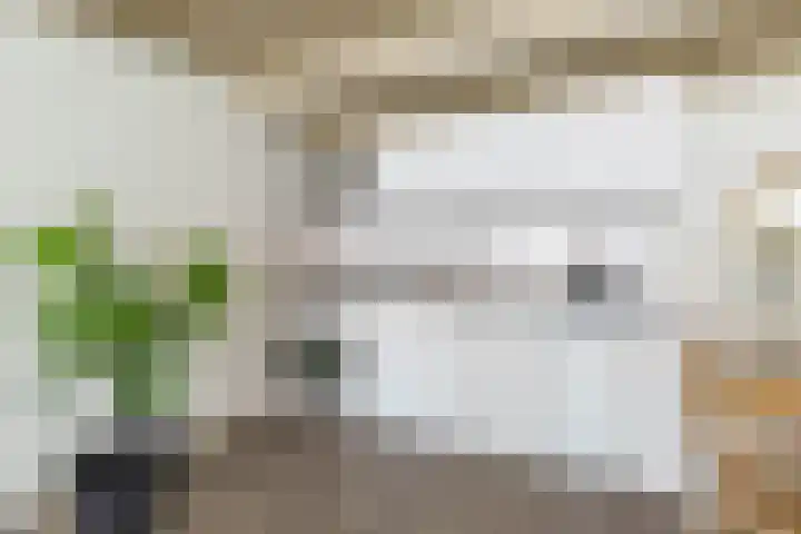 Apoortenmolendrift 2 Groningen thumbnail 27
