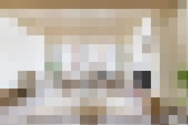 Apoortenmolendrift 2 Groningen thumbnail 30