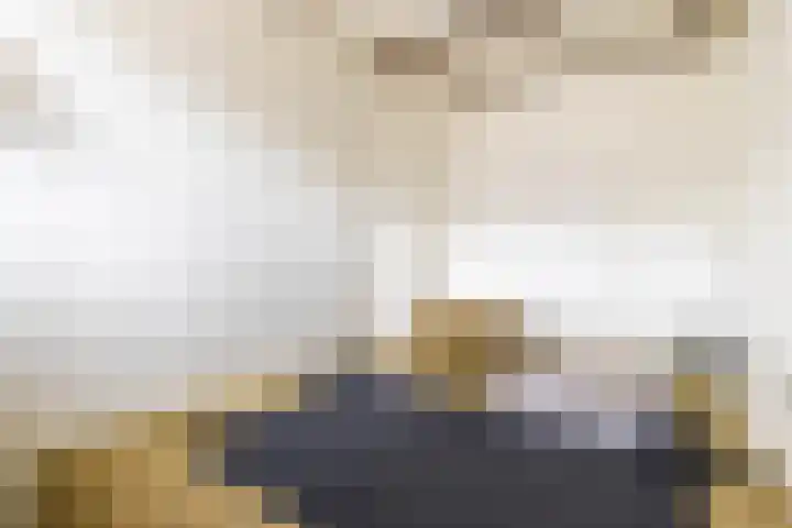 Apoortenmolendrift 2 Groningen thumbnail 34