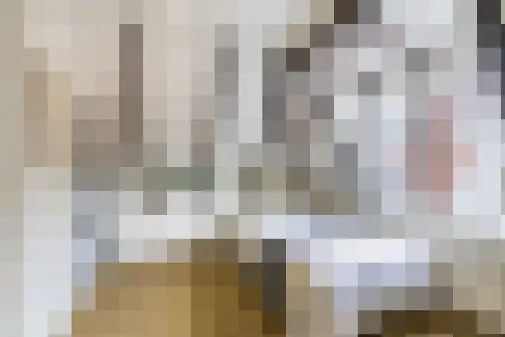 Apoortenmolendrift 2 Groningen thumbnail 37