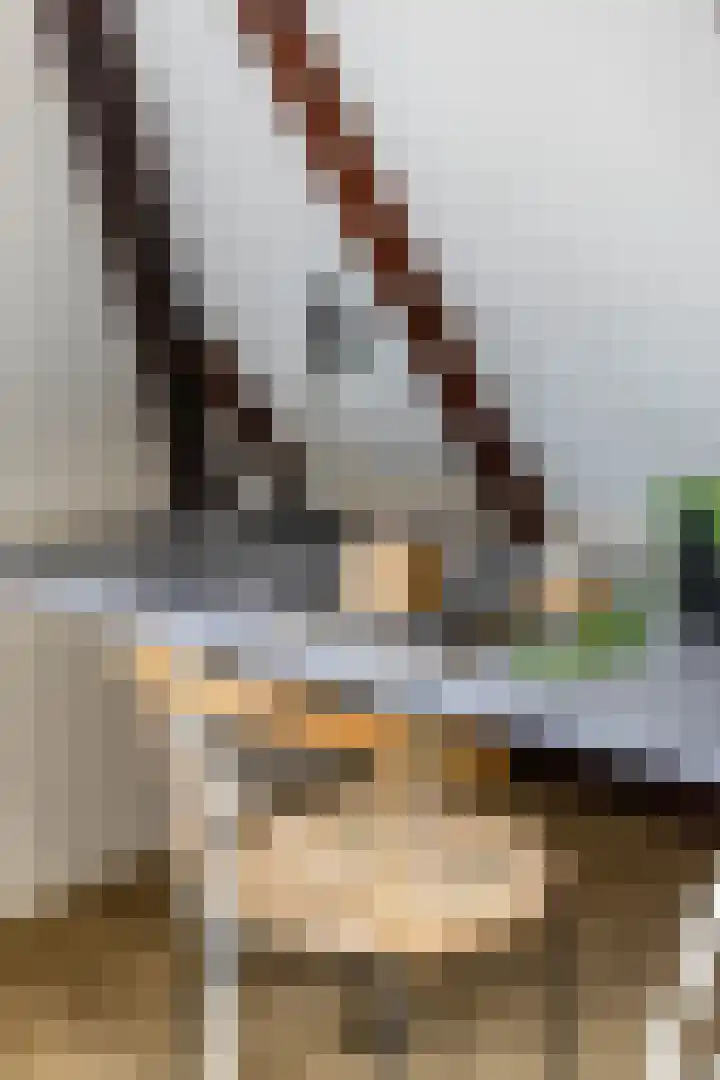 Apoortenmolendrift 2 Groningen thumbnail 39