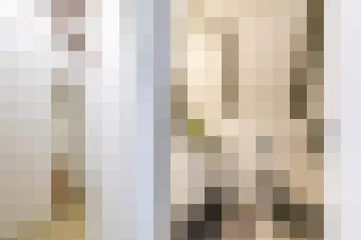 Apoortenmolendrift 2 Groningen thumbnail 40