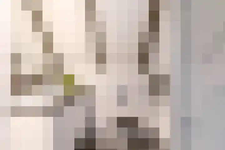 Apoortenmolendrift 2 Groningen thumbnail 41