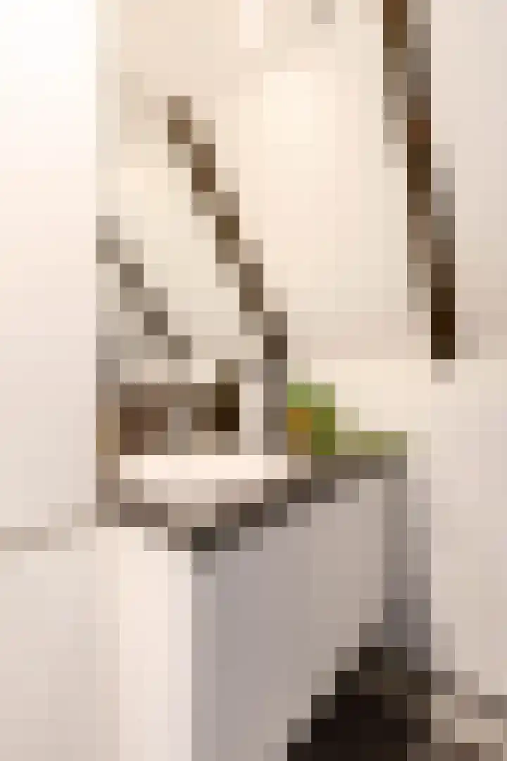 Apoortenmolendrift 2 Groningen thumbnail 42