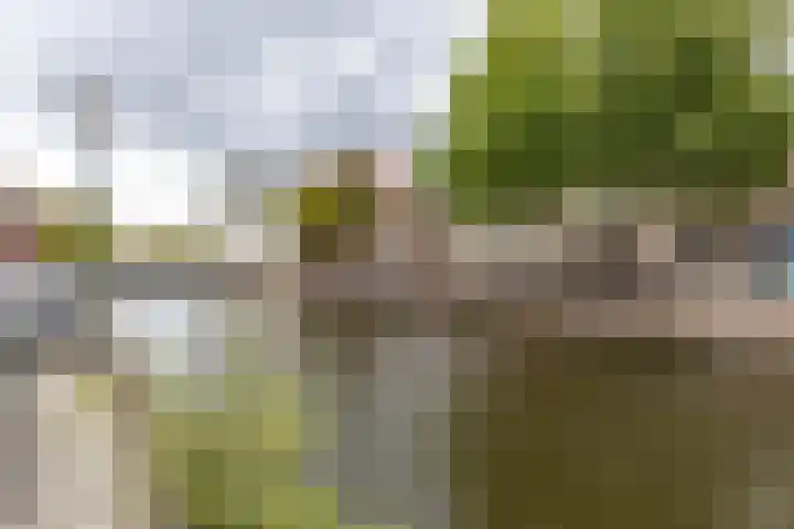 Apoortenmolendrift 2 Groningen thumbnail 46