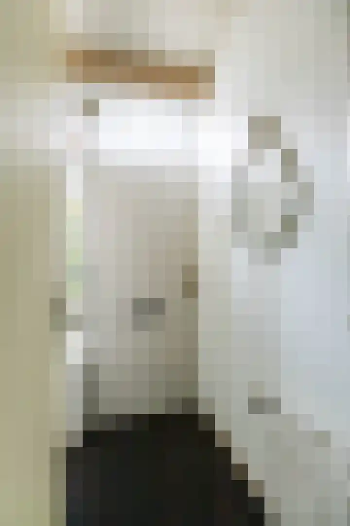 Apoortenmolendrift 2 Groningen thumbnail 7