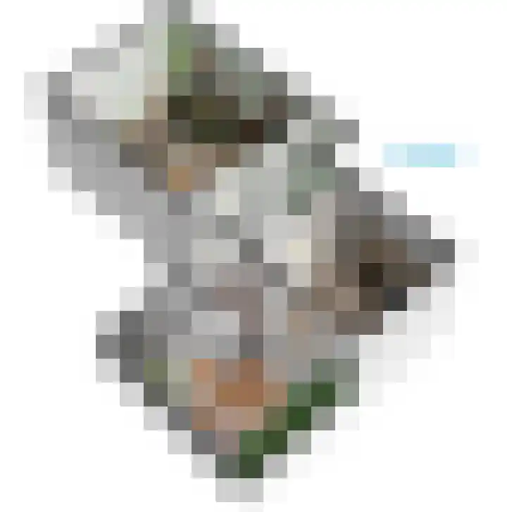 Apothekersdijk 36 Leiden thumbnail 64