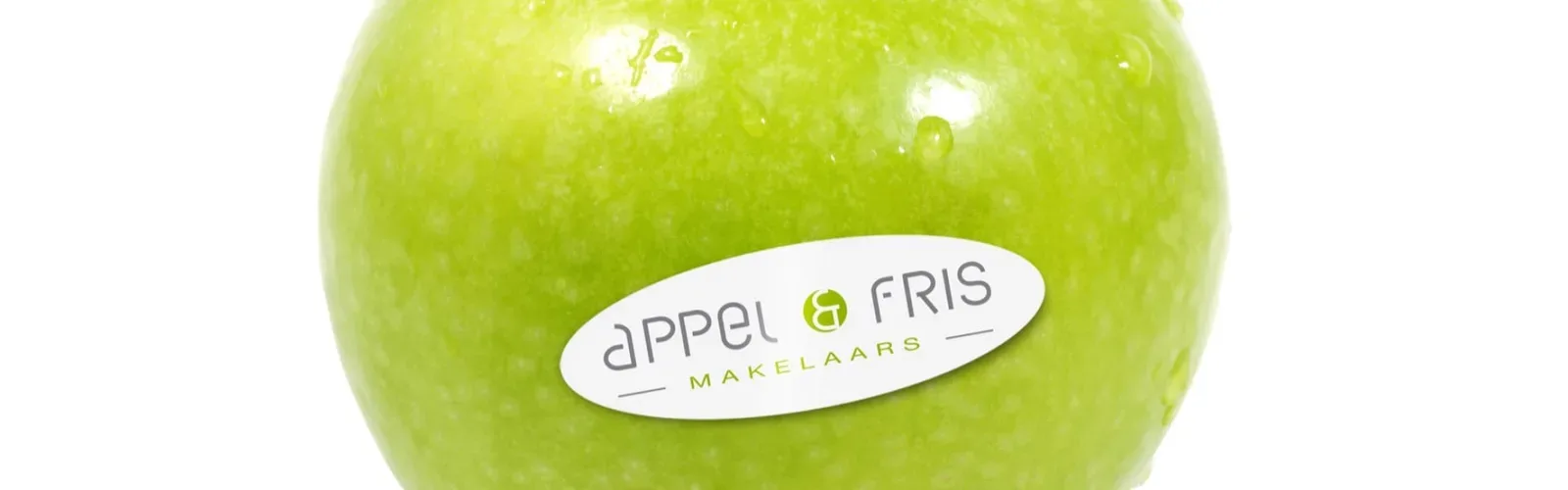 Team foto van Appel en Fris Makelaars