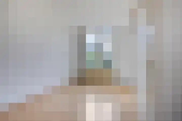 Appeldijk 36 Deurne thumbnail 10
