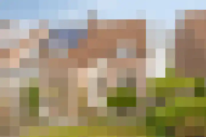 Appeldijk 36 Deurne thumbnail 24