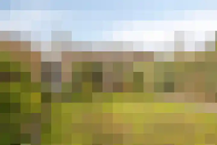 Appeldijk 36 Deurne thumbnail 26