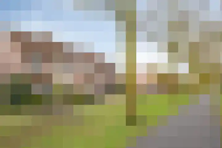 Appeldijk 36 Deurne thumbnail 30