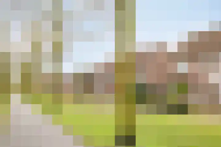 Appeldijk 36 Deurne thumbnail 31