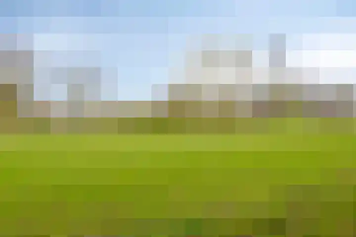 Appeldijk 36 Deurne thumbnail 32