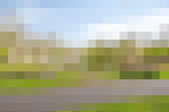 Appeldijk 36 Deurne thumbnail 33