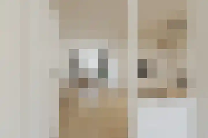 Appeldijk 36 Deurne thumbnail 5