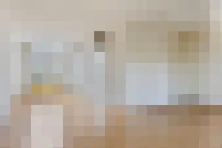 Appeldijk 36 Deurne thumbnail 6