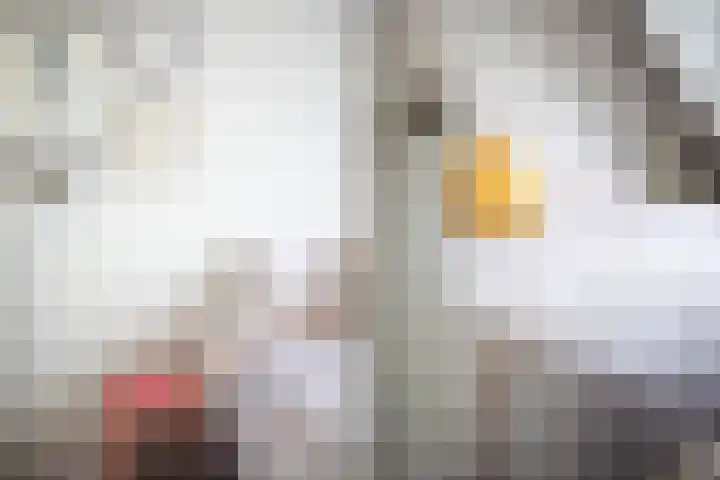 Appeldreef 16 Arkel thumbnail 12