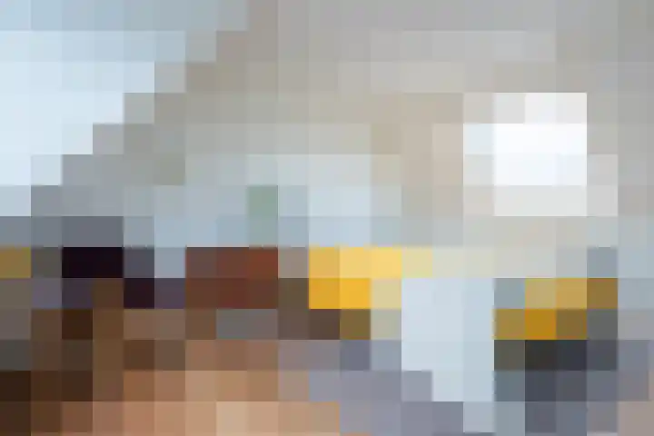 Appeldreef 16 Arkel thumbnail 17