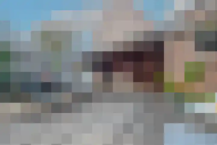 Appeldreef 16 Arkel thumbnail 19