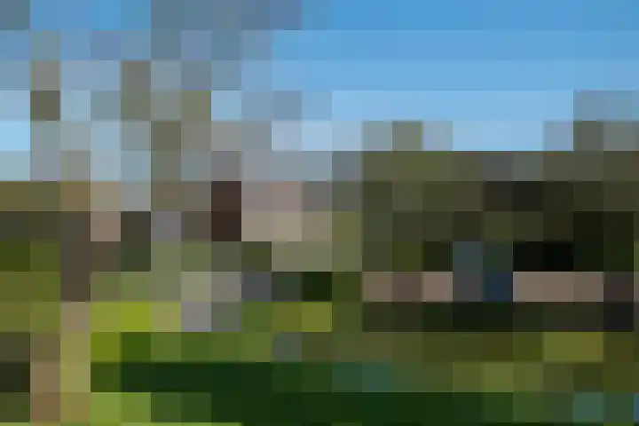 Appeldreef 16 Arkel thumbnail 22