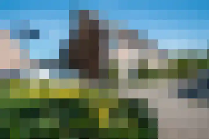 Appeldreef 16 Arkel thumbnail 23