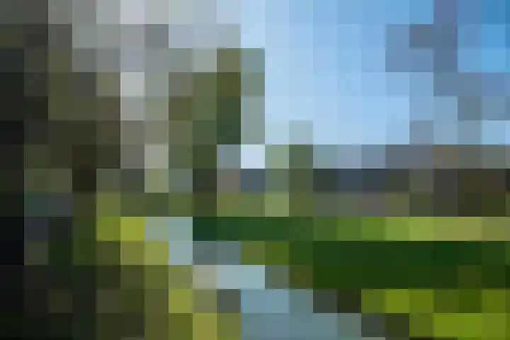 Appeldreef 16 Arkel thumbnail 24