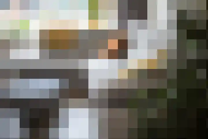Appeldreef 16 Arkel thumbnail 8