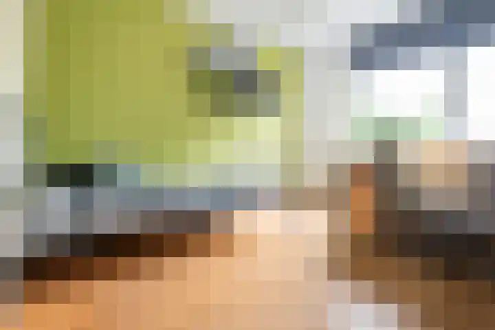 Appeldreef 23 Arkel thumbnail 13