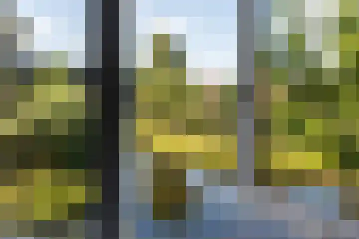 Appeldreef 23 Arkel thumbnail 14