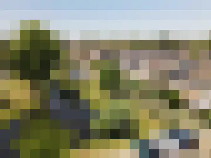 Appeldreef 23 Arkel thumbnail 15