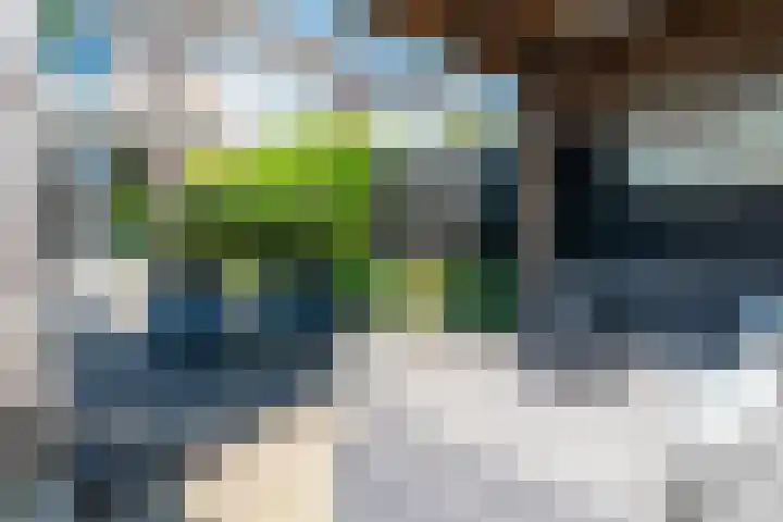 Appeldreef 23 Arkel thumbnail 22