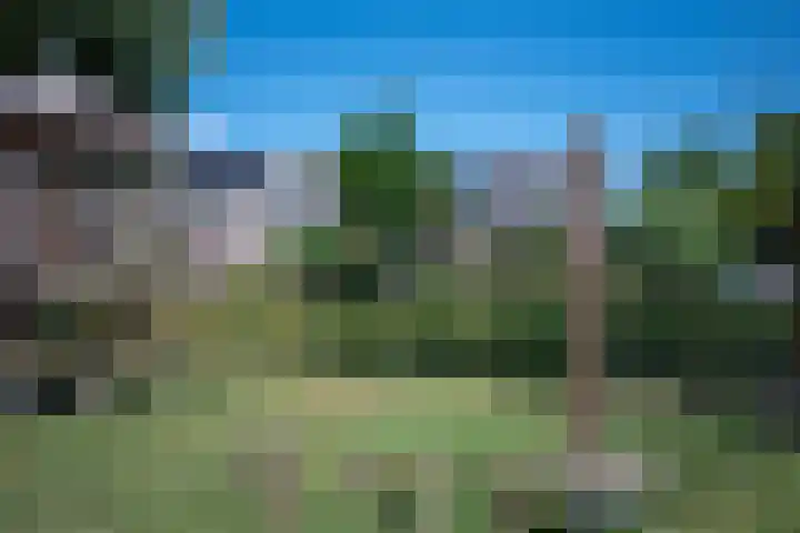 Appeldreef 23 Arkel thumbnail 27