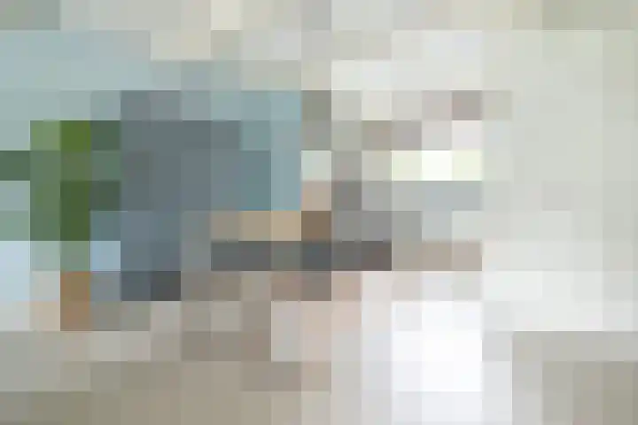 Appeldreef 23 Arkel thumbnail 4