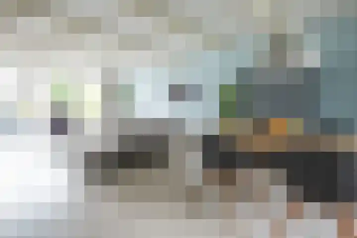 Appeldreef 23 Arkel thumbnail 6