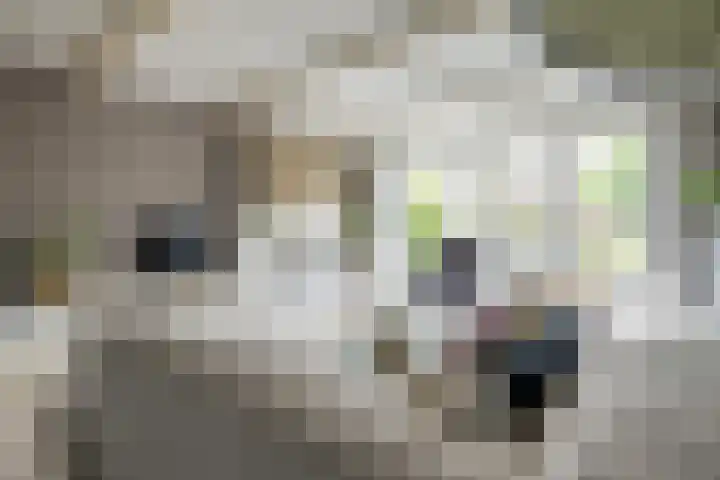Appeldreef 23 Arkel thumbnail 8