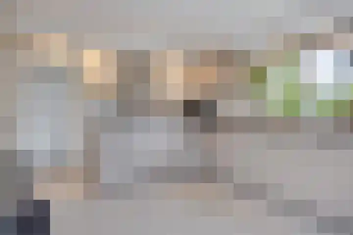 Appelenburg 17 Tuil thumbnail 16