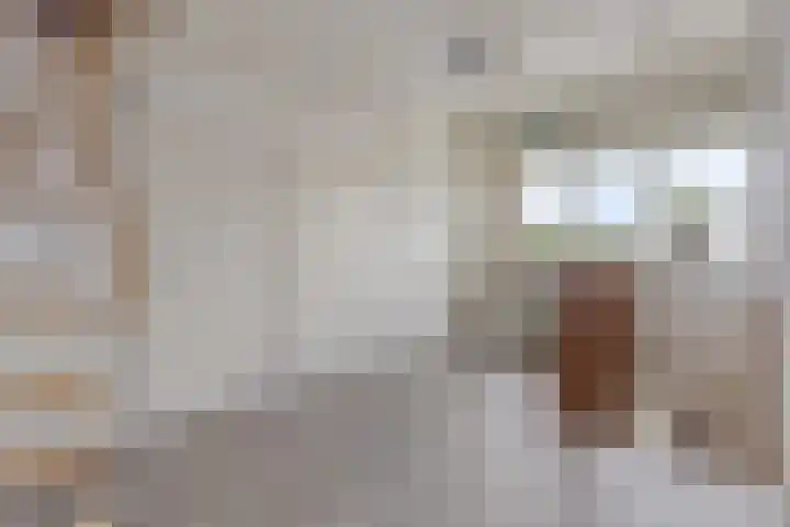 Appelenburg 17 Tuil thumbnail 20
