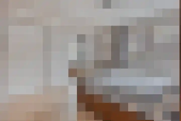 Appelenburg 17 Tuil thumbnail 22