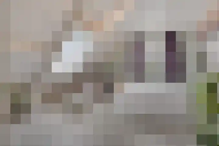 Appelenburg 17 Tuil thumbnail 26